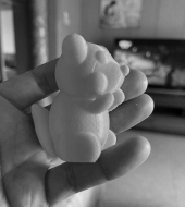 花栗鼠3D打印作品(pin)